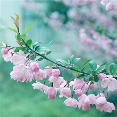 菲格罗音乐工厂最新版下载