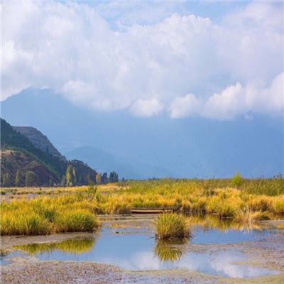 涂山传说手游
